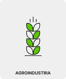 AGROINDUSTRIA - CATEGORIA